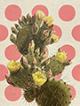 Prickly Polkas in Pink